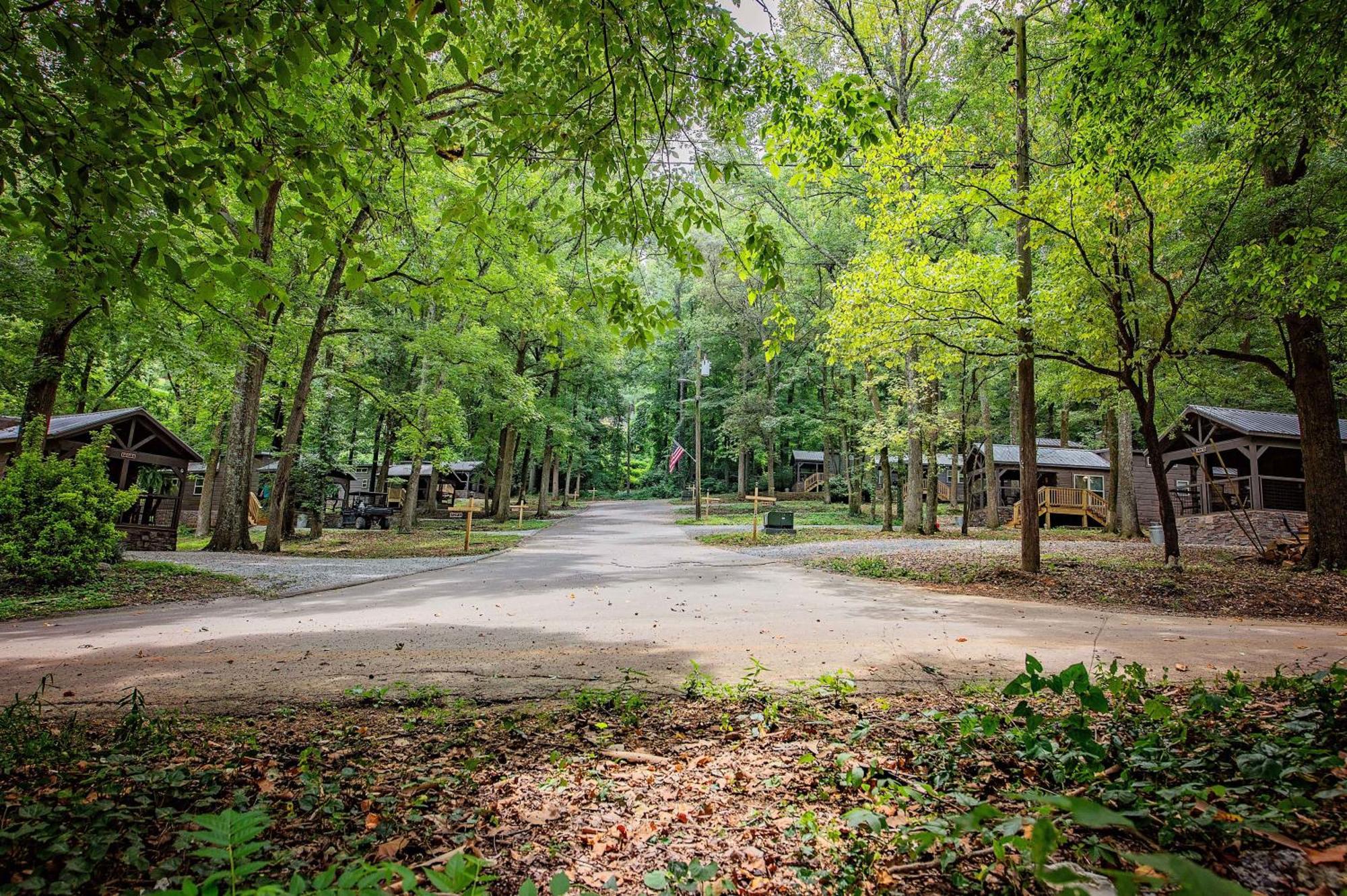 River Cabin Hot Tub & Swim Spa Near Downtown Chattanooga Ngoại thất bức ảnh