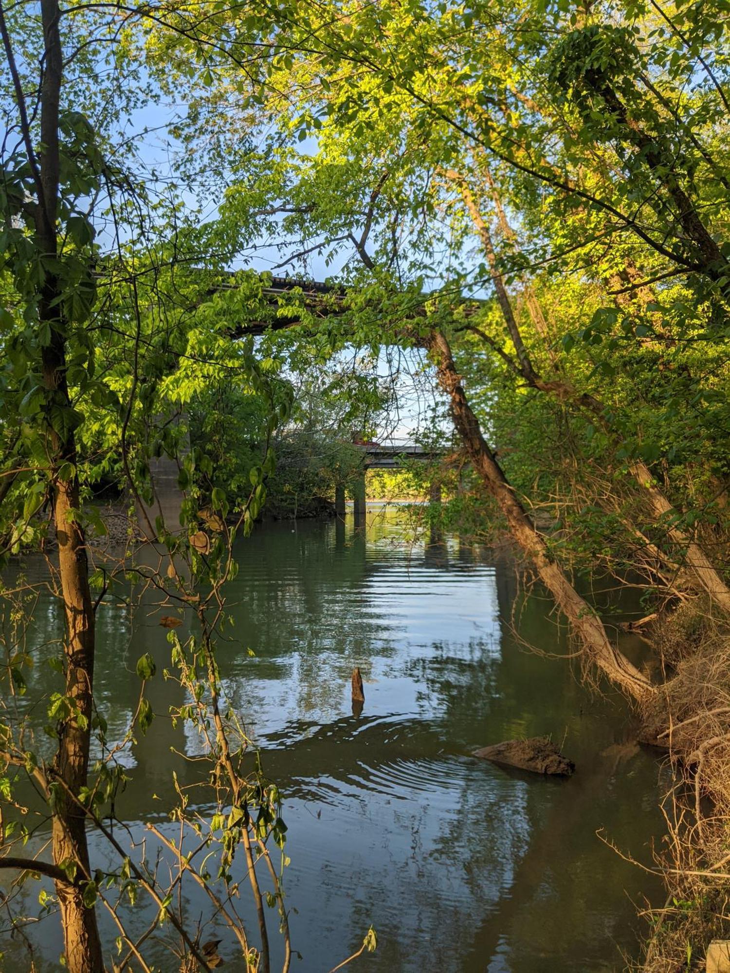 River Cabin Hot Tub & Swim Spa Near Downtown Chattanooga Ngoại thất bức ảnh